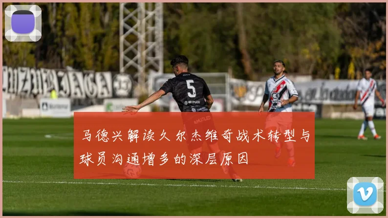 马德兴解读久尔杰维奇战术转型与球员沟通增多的深层原因