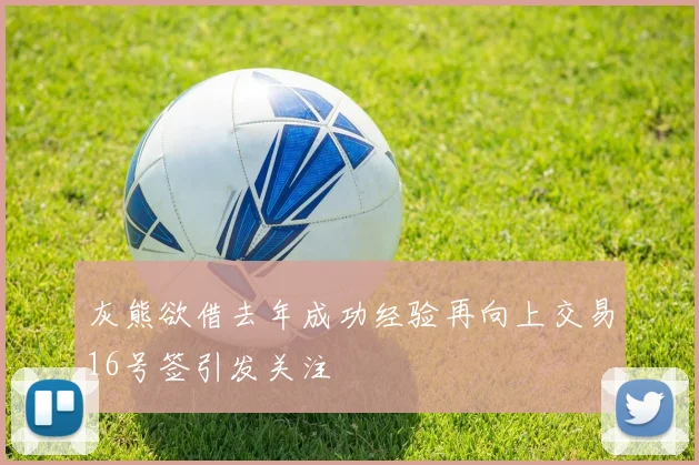 灰熊欲借去年成功经验再向上交易16号签引发关注