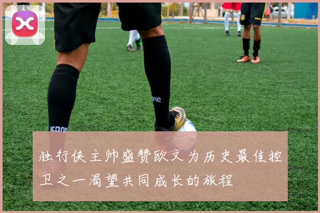 独行侠主帅盛赞欧文为历史最佳控卫之一渴望共同成长的旅程